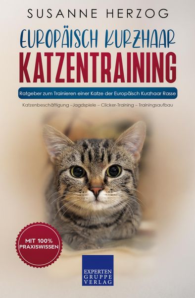 Produktbild: Europ&auml;isch Kurzhaar Katzentraining - Ratgeber zum Trainieren einer Katze der Europ&auml;isch Kurzhaar Rasse