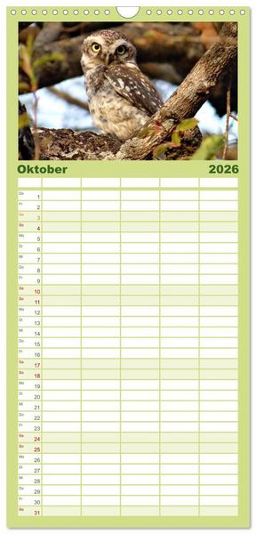 Produktbild: Familienplaner 2026 - Eulen. W&auml;chter der Nacht mit 5 Spalten (Wandkalender, 21 x 45 cm) CALVENDO