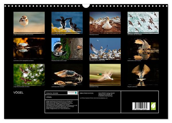 Produktbild: V&Ouml;GEL (Wandkalender 2026 DIN A3 quer), CALVENDO Monatskalender