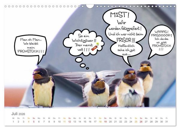 Produktbild: Wenn Schwalben reden (Wandkalender 2026 DIN A3 quer), CALVENDO Monatskalender