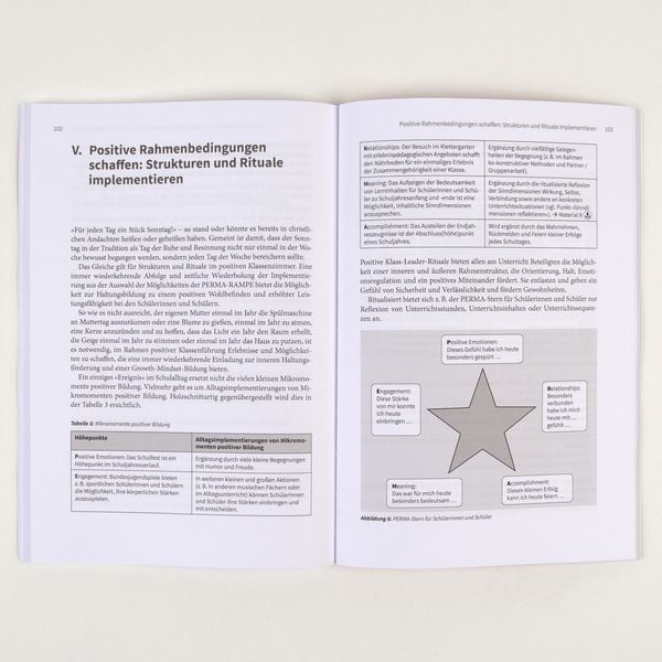 Produktbild: Positive Klassenf&uuml;hrung