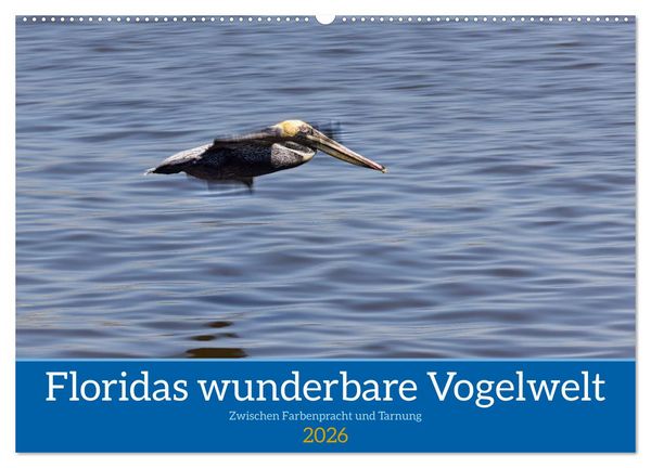 Produktbild: Floridas wunderbare Vogelwelt (Wandkalender 2026 DIN A2 quer), CALVENDO Monatskalender