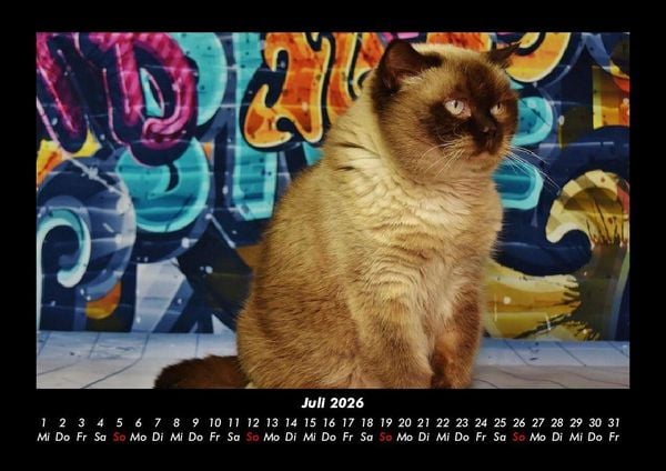Produktbild: F&uuml;r Katzenfreunde 2026 Fotokalender DIN A3