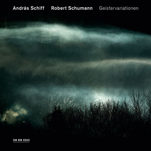Produktbild: Geistervariationen
