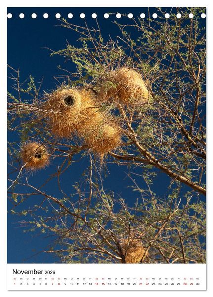 Produktbild: Naturparadies Namibia (Tischkalender 2026 DIN A5 hoch), CALVENDO Monatskalender