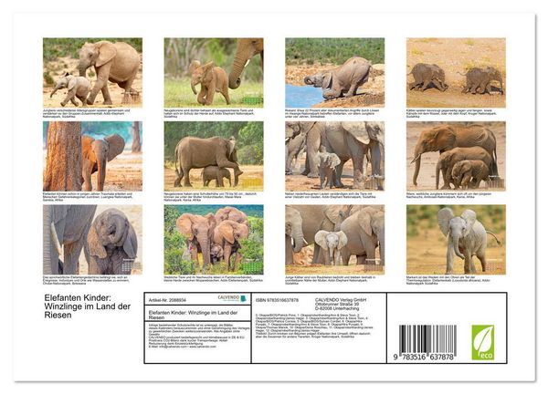 Produktbild: Elefanten Kinder: Winzlinge im Land der Riesen (Wandkalender 2026 DIN A4 quer), CALVENDO Monatskalender