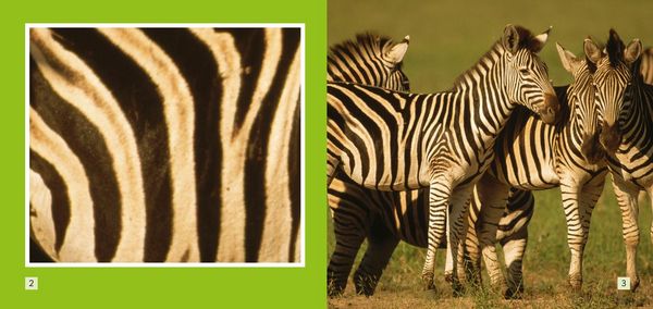 Produktbild: Stripes