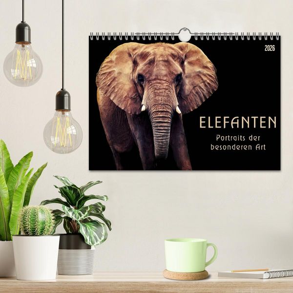 Produktbild: Elefanten - Portraits der besonderen Art (Wandkalender 2026 DIN A4 quer), CALVENDO Monatskalender