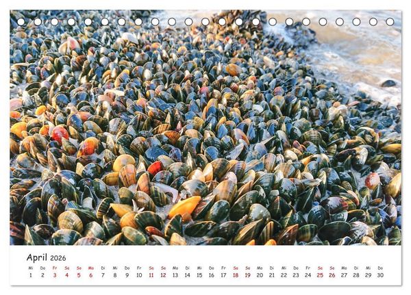 Produktbild: D&uuml;nen und Meer Nordseemomente (Tischkalender 2026 DIN A5 quer), CALVENDO Monatskalender
