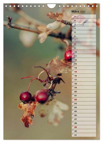 Produktbild: Kalender - Natur im Detail (Wandkalender 2026 DIN A4 hoch), CALVENDO Monatskalender