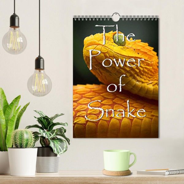 Produktbild: The Power Of Snake (Wandkalender 2027 DIN A4 hoch), CALVENDO Monatskalender