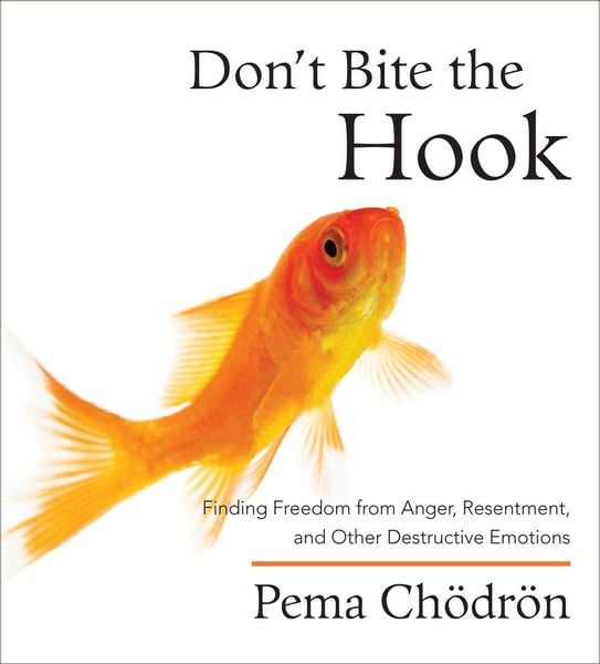 Produktbild: Don't Bite the Hook: Finding Freedom from Anger, Resentment, and Other Destructive Emotions