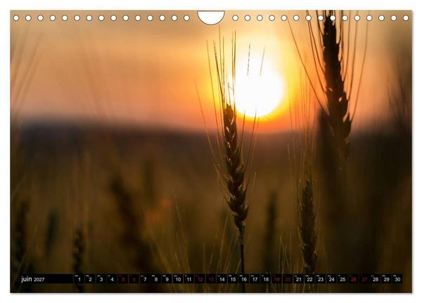 Produktbild: Paysages du Qu&eacute;bec (Calendrier mural 2027 DIN A4 vertical), CALVENDO calendrier mensuel