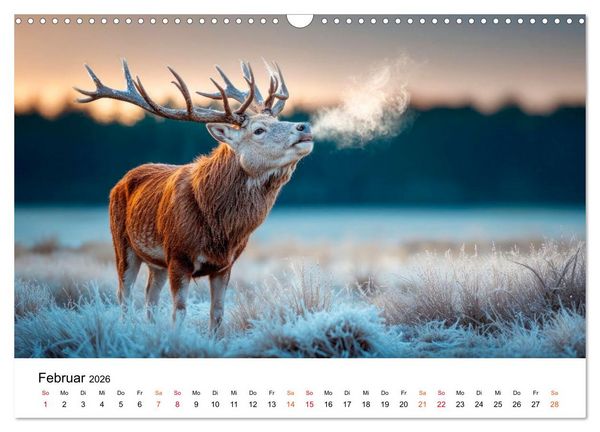 Produktbild: Tierische Jahreszeiten (Wandkalender 2026 DIN A3 quer), CALVENDO Monatskalender