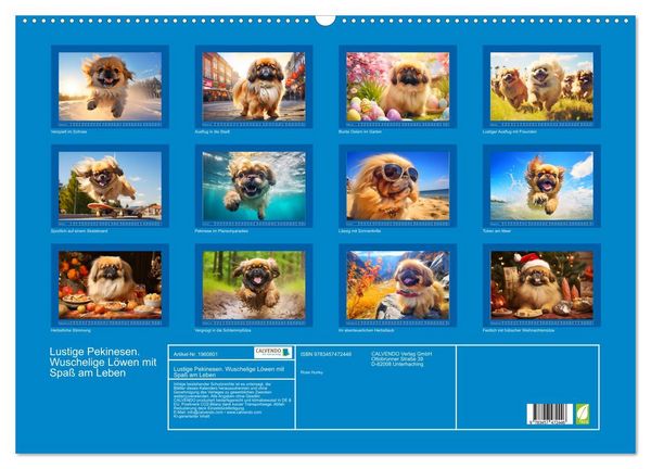 Produktbild: Lustige Pekinesen. Wuschelige L&ouml;wen mit Spa&szlig; am Leben (Wandkalender 2026 DIN A2 quer), CALVENDO Monatskalender