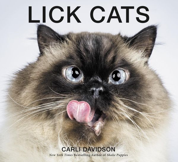 Produktbild: Lick Cats