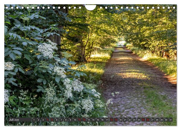 Produktbild: R&uuml;gen - Inseltraumblicke (Wandkalender 2026 DIN A4 quer), CALVENDO Monatskalender