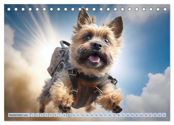 Produktbild: Hunde Skydiving (Tischkalender 2026 DIN A5 quer), CALVENDO Monatskalender