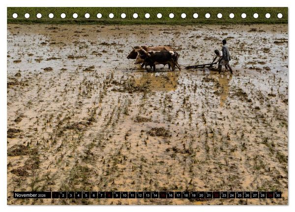 Produktbild: Madagaskar - Impressionen von Rolf Dietz (Tischkalender 2026 DIN A5 quer), CALVENDO Monatskalender