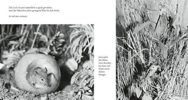 Produktbild: Das Apfelm&auml;uschen (Mini-Ausgabe)