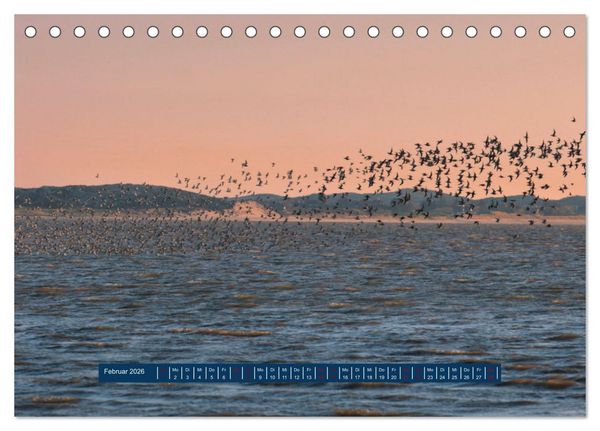 Produktbild: Ein Tag am Meer - Impressionen von der Insel Sylt (Tischkalender 2026 DIN A5 quer), CALVENDO Monatskalender