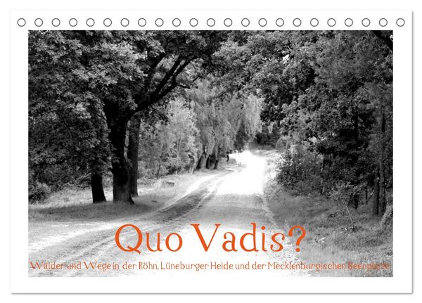 Quo Vadis? Wälder und Wege in der Röhn, Lüneburger Heide und der Mecklenburgischen Seenplatte (Tischkalender 2026 DIN A5 quer), CALVENDO