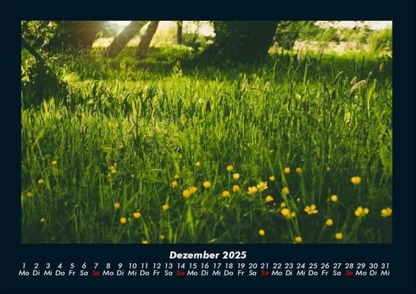 Produktbild: Blumenkalender 2025 Fotokalender DIN A4