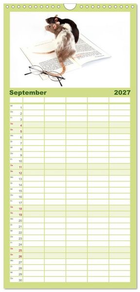 Produktbild: Familienplaner 2027 - S&uuml;&szlig;e M&auml;use und Coole Ratten mit 5 Spalten (Wandkalender, 21 x 45 cm) CALVENDO