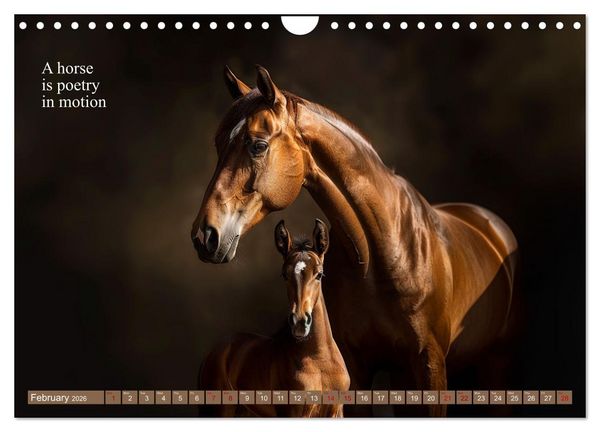 Produktbild: A Horse Makes You Complete (Wall Calendar 2026 DIN A4 landscape), CALVENDO 12 Month Wall Calendar