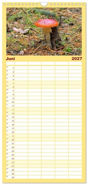 Produktbild: Familienplaner 2027 - Heimische Pilze mit 5 Spalten (Wandkalender, 21 x 45 cm) CALVENDO