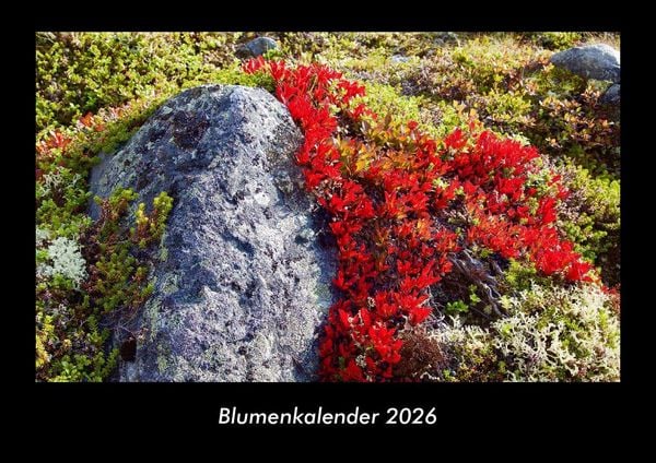 Blumenkalender 2026 Fotokalender DIN A3