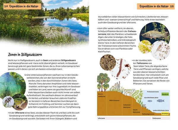 Produktbild: Was lebt an Bach und Teich? Kindernaturf&uuml;hrer