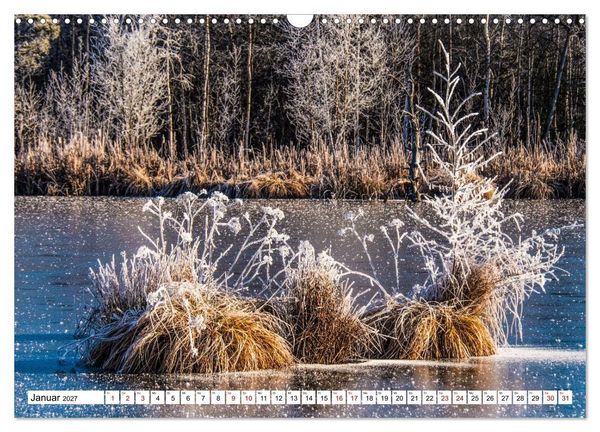 Produktbild: Das Schwenninger Moos - ein vielseitiger Lebensraum (Wandkalender 2027 DIN A3 quer), CALVENDO Monatskalender