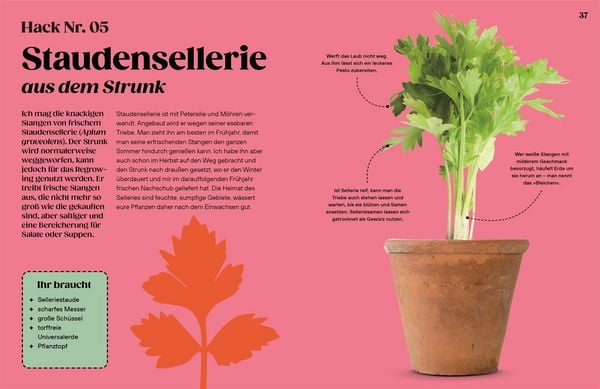 Produktbild: Regrow