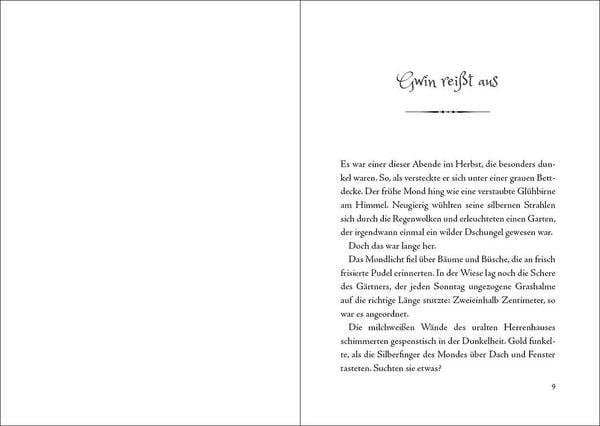 Produktbild: Gwin und das Herz des Drachen (Band 1)