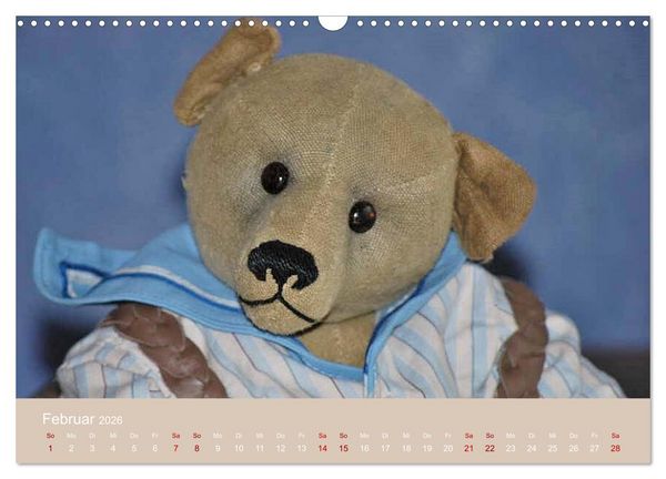 Produktbild: Robin der B&auml;r (Wandkalender 2026 DIN A3 quer), CALVENDO Monatskalender