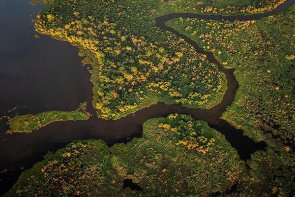 Produktbild: Pantanal