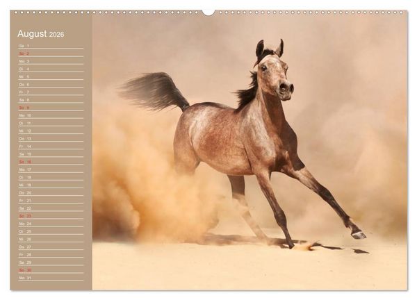 Produktbild: Pferde. Araber im W&uuml;stensand (Wandkalender 2026 DIN A2 quer), CALVENDO Monatskalender