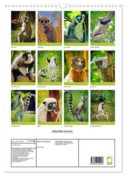 Produktbild: Adorable lemurs (Wall Calendar 2026 DIN A3 portrait), CALVENDO 12 Month Wall Calendar