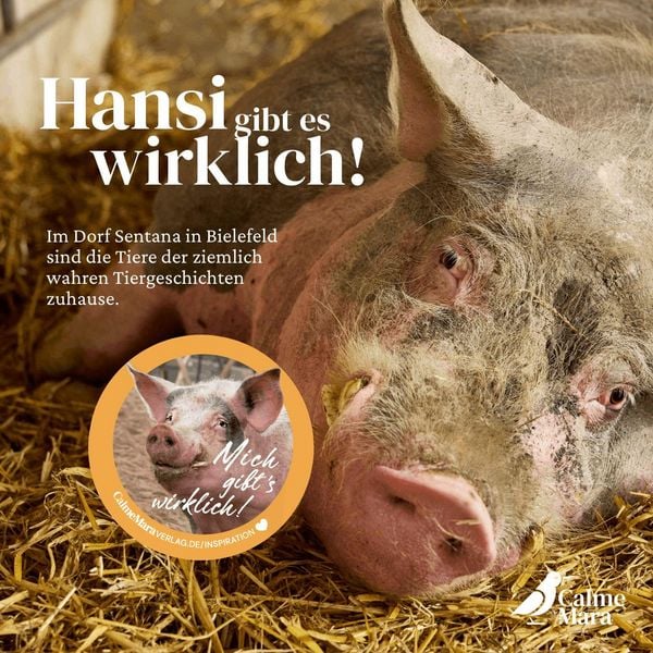 Produktbild: Ein Buch f&uuml;r Hansi