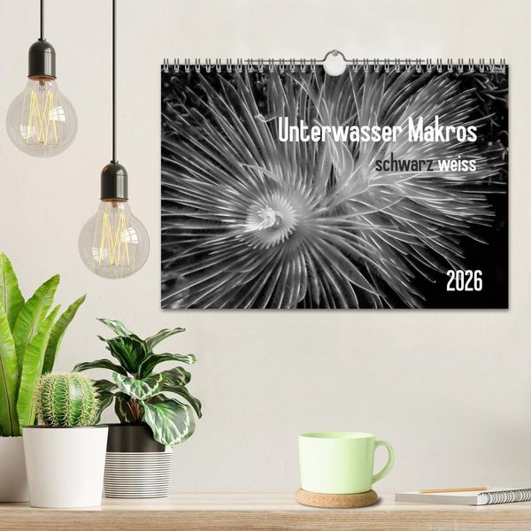 Produktbild: Unterwasser Makros - schwarz weiss 2026 (Wandkalender 2026 DIN A4 quer), CALVENDO Monatskalender