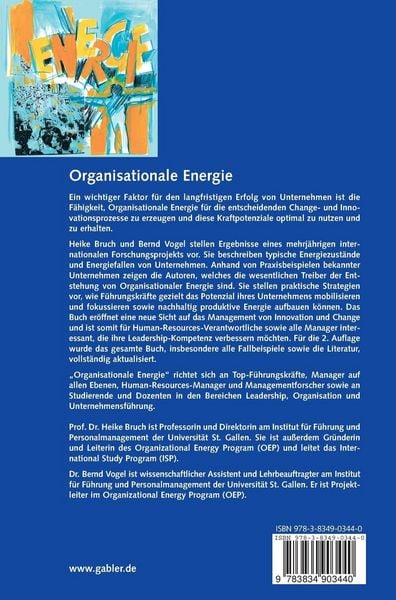 Produktbild: Organisationale Energie
