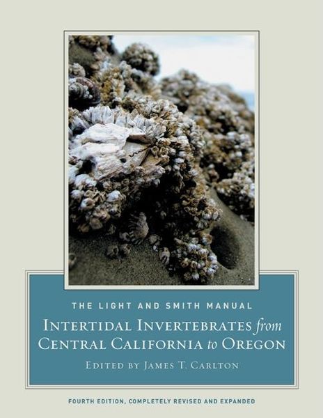 Produktbild: The Light and Smith Manual