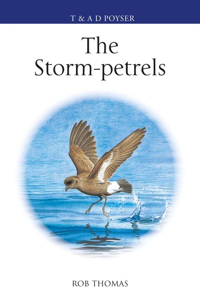 Produktbild: The Storm-petrels