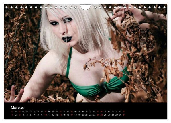Produktbild: Dessous (Wandkalender 2026 DIN A4 quer), CALVENDO Monatskalender