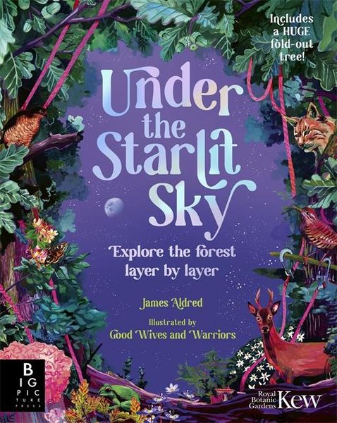 Produktbild: Under the Starlit Sky