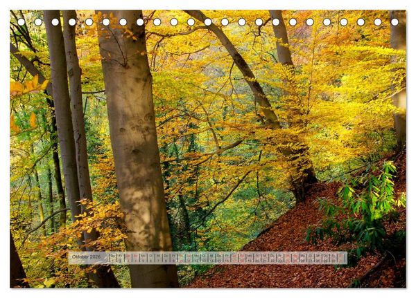 Produktbild: Wald im Bergischen Land 2026 (Tischkalender 2026 DIN A5 quer), CALVENDO Monatskalender