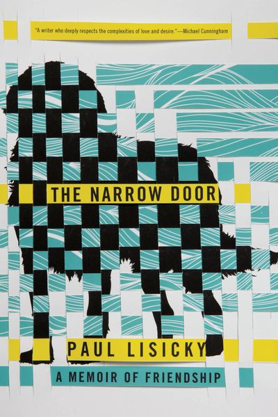 Produktbild: The Narrow Door