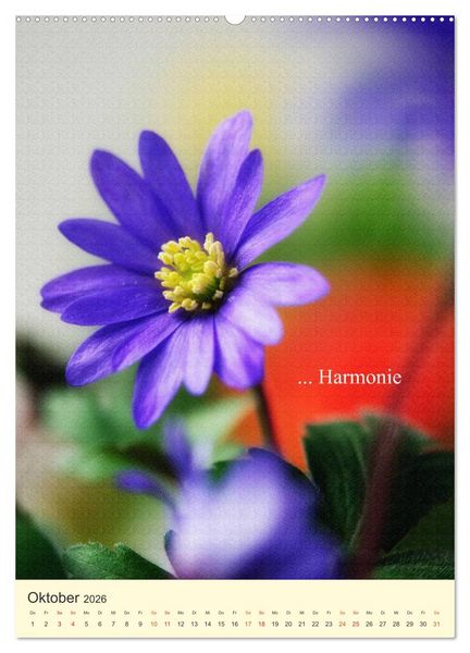 Produktbild: flowers (hochwertiger Premium Wandkalender 2026 DIN A2 hoch), Kunstdruck in Hochglanz