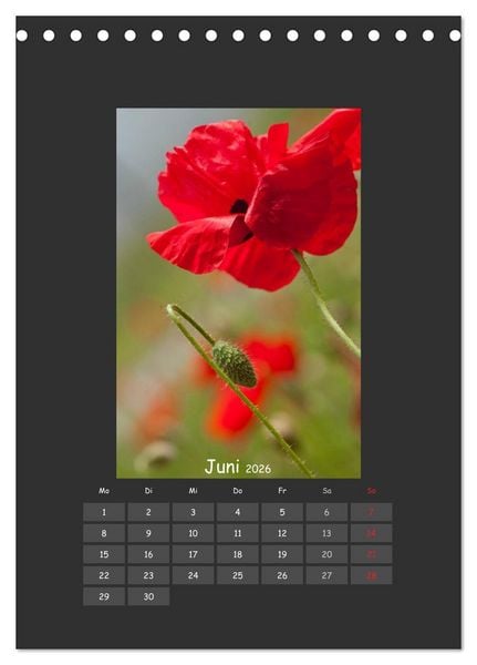 Produktbild: Mohn (Tischkalender 2026 DIN A5 hoch), CALVENDO Monatskalender